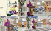 First Synod Offers Roadmap for Missionary Renewal in Cameroon’s Buea Catholic Diocese