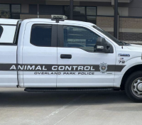Police looking for dog, owner after bite incident in Kansas business