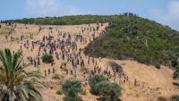 Morocco arrests almost 300 people over fresh attempt to cross into Spain