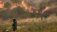 Two killed, 570 evacuated in Greek’s Salamis Island wildfires