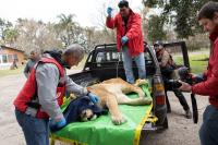 International Operation: Transfer of 30 Big Cats from Former Luján Zoo to Sanctuaries in the U.S. and South Africa