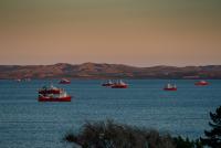 Fisheries Transparency in Debt: The Stagnation of a Law That Exposes Why Argentina Hides Data the Region Already Publishes