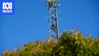 Concerns for emergency response during rolling Telstra upgrades