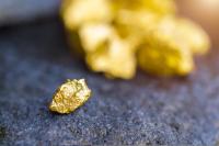 Antares Metals (ASX:AM5): Why Is Quinns Gold Drilling in Focus?