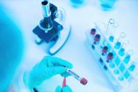 Australian Clinical Labs (ASX:ACL): Why Are Margins Improving?