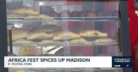 Africa Fest brings food, music and culture to Madison