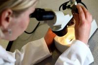 Scots scientists hail antimalarial compound as ‘exciting step forward’