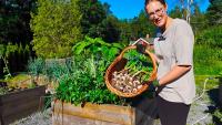 From garden bed to pantry, Swedish grower shares how to cure onions for long storage