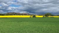 How careful growth built a 1,200ha mixed enterprise