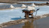 Researchers find microplastics in Indonesian sea salt, contaminating a pantry staple