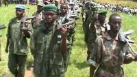 DRC: Kinshasa presents a protocol for the demobilization of FDLR rebels