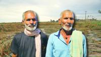 The overlooked impact of inadequate rainfall and fertiliser shortages in Nepal’s agriculture sector