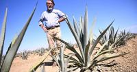 Studies look at ‘less bad’ options for farmers facing groundwater cutbacks