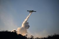 Israeli arrested in Greece for negligent arson after BBQ sparks wildfire