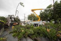 Lala leaves one dead in Hawaii with heavy rain, wind to come