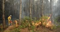 Germany fires LIVE: Monschau evacuated after huge Belgium wildfire crosses High Fens