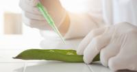 China puts alternative proteins at heart of future food strategy