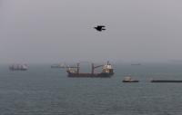 Several Middle Eastern countries secretly shipping oil through Hormuz — news agency