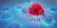 Cancer: Understanding, Prevention, and Lifestyle Choices