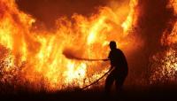 Greece wildfires kill elderly couple as Belgium battles largest blaze in modern history