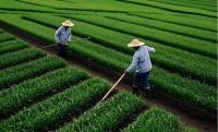 Agricultural revolution still required