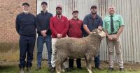 Repeat buyers compete with new interstate interest at Radnor ram sale