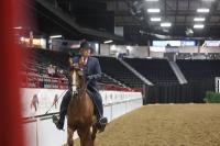 Arabian Championship sees ‘exponential growth’