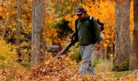 The Case Against Gas-Powered Leaf Blowers Has Only Grown Stronger