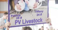 Market animal sale an important part of 4-H life