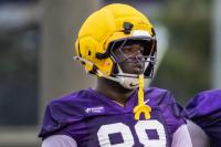 Youth to be served on LSU defensive front this fall