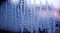 Nature-inspired coating repels both water and ice