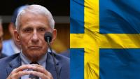 Swedish government blocked Anthony Fauci probe during COVID