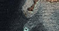 Iran war’s final victim could be the Gulf’s fragile environment
