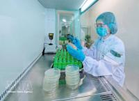 Resolution helps drive foreign direct investment into green economy