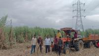 Cheated advances, mounting debt: The bitter reality for sugarcane transporters in Maharashtra
