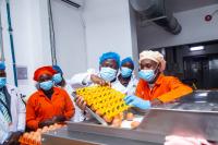 Government Moves to Revitalize Egg and Baby Food Industry as Minister Bahati Inspects Pristine Foods