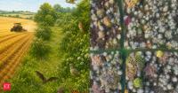 Farmer quit intensive wheat farming nearly 40 years ago in protest, then nature took over &amp; turned his 377-acre land into wildlife haven