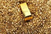 What Makes Evolution Mining (ASX:EVN) Stand Out in Gold?