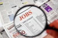 DA cites plan to slash Limpopo’s growing unemployment