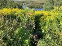 An active cyclone may cross Latvia: What forecasters predict for the new week