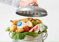 Why Is Pakistan’s Food Economy Faltering?
