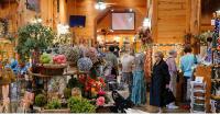 A Wildflower Farm Near Fredericksburg, Texas With Wine, Shopping, and More
