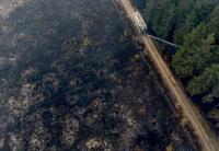 Rainfall aids fight against Belgium's biggest wildfire, as blazes rip through Europe