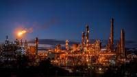 2026 Raw Materials and Chemicals Overview