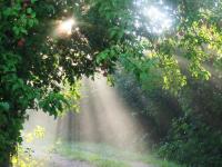 Weather will improve later in the week in Latvia