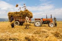 Pakistan’s agriculture sector economy faces a growing crisis
