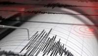 Indonesia earthquake rescue continues as death toll reaches 53