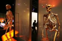 New study: Why do men and women walk differently? The answer may lie with the neanderthals