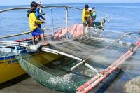 Small fishers plead with Supreme Court: Consider our rights, too