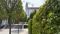 The low-maintenance hedge idea I picked up in Bratislava – it's drought-tolerant, great for wildlife and beautiful in the autumn